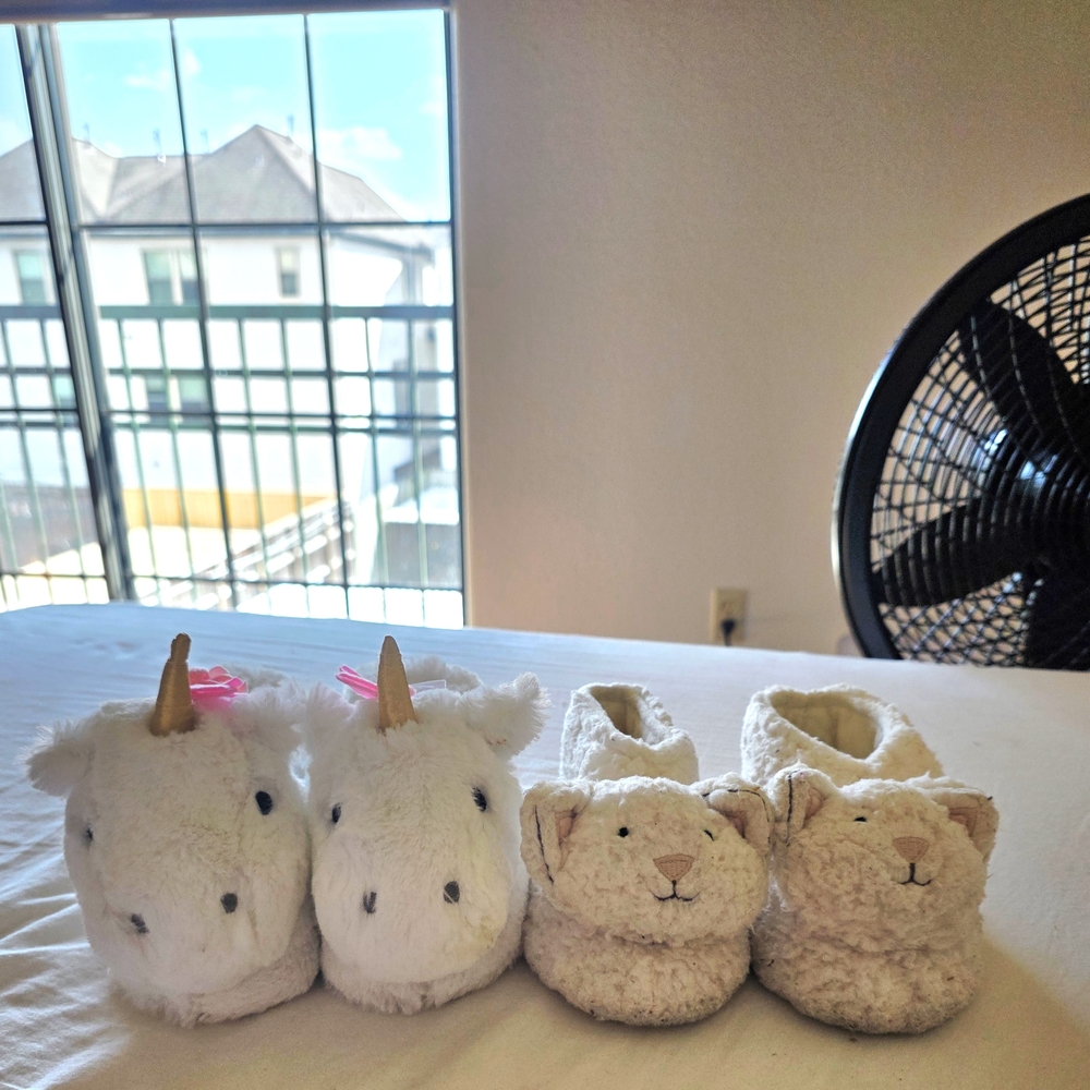 Two Pairs of Pottery Barn Kids Slippers: Size M